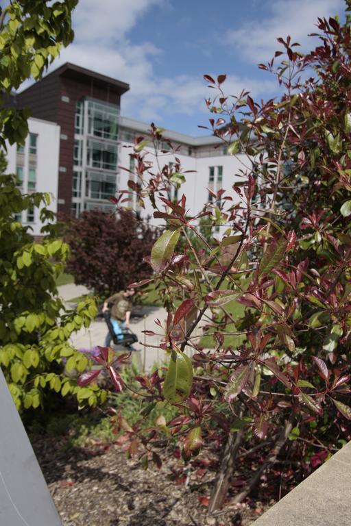 Summer Stays At The University Of EDI Buitenkant foto